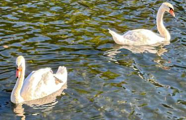 Villa Catherine - Photo 10