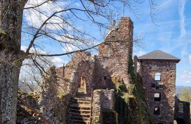 Ferienwohnung Zum Alten Cafè - Photo 44