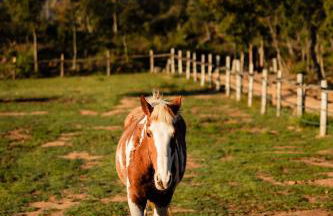 La Paradella - Apartamento de uso turístico - Foto 8