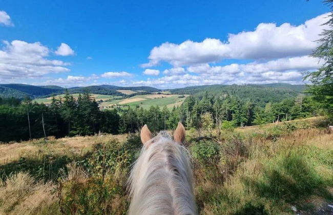 Ferienwohnung mit Bergblick - Foto 44