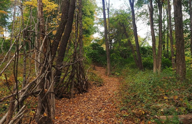 Argyll House by Boutique - Foto 12