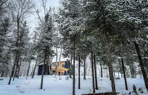 270-Degree Views! Haven on Little Papoose Lake - Foto 41