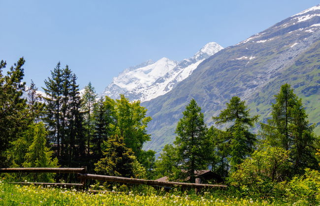 Notre Rêve - Foto 27