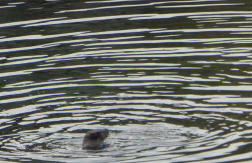 The Causeway - Foto 35