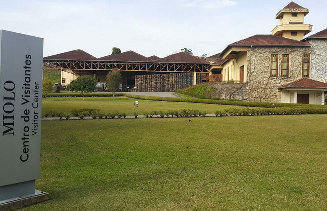 Excursión al Vale dos Vinhedos - Foto 2