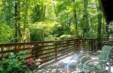 Secluded Waterfront Cabin Rental on Lake Superior near Red Cliff, Wisconsin - Foto 17