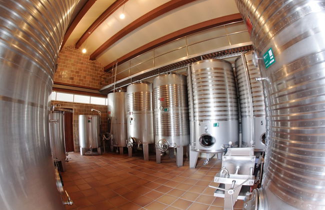 Enoturismo y Bodega Lagar de Costa - Foto 23