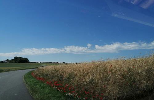 La ferme de Mademoiselle Jeanne - Foto 18