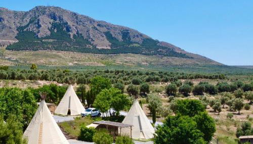Beautiful Teepee with private facilities - Foto 4, Garden