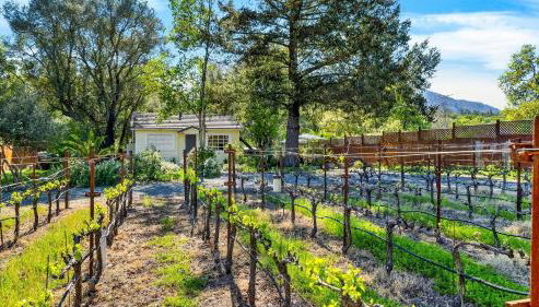 Grapevine Cottage by Avantstay Private Vineyard + Outdoor/indoor Living + Firepit + Minutes to Glen Ellen - Foto 5, Other