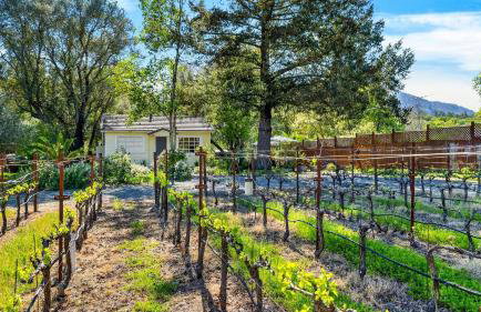 Grapevine Cottage by Avantstay Private Vineyard + Outdoor/indoor Living + Firepit + Minutes to Glen Ellen - Foto 5