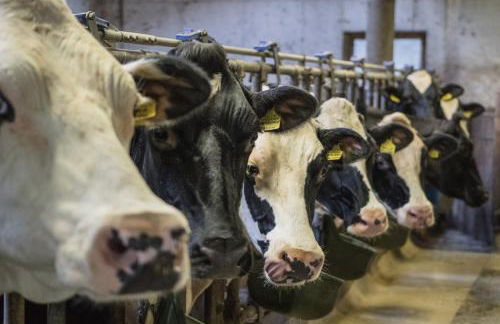 Unterreinischhof - Foto 45