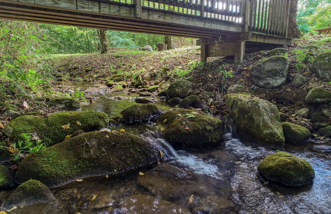 Sweet - 2 Bedrooms, 2 Baths, Sleeps 6 Cabin by RedAwning - Foto 15