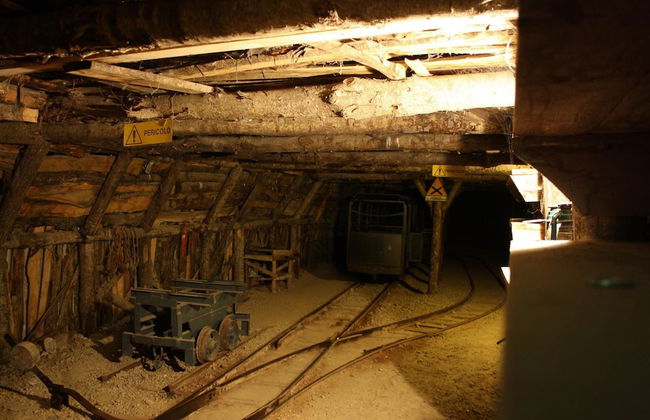 Agriturismo Bio Aia della Colonna - Foto 65