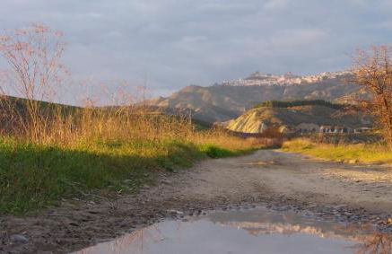 La Piccola Bellezza - Foto 51