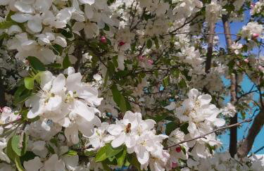 Le Mas Del Cargol - Foto 36