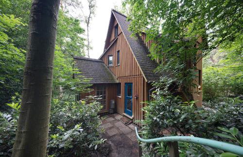 Ferienhaus am Brandorffsee - Foto 21