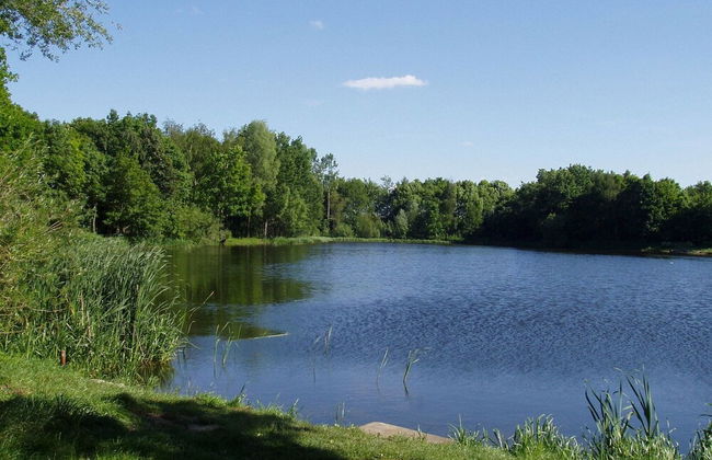 Holiday Home in Ravenstein With Garden - Foto 22