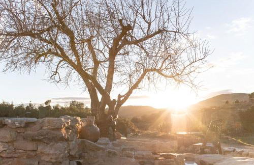 Aldea Ecorural - Foto 69