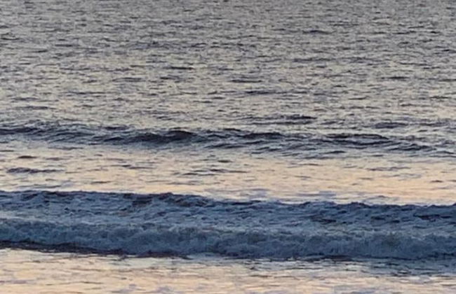 Lovely 5-bed Villa in Udupi - Foto 17