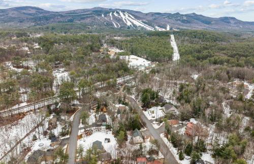 Minutes to Downtown & National Forest Ash Lodge - Foto 51