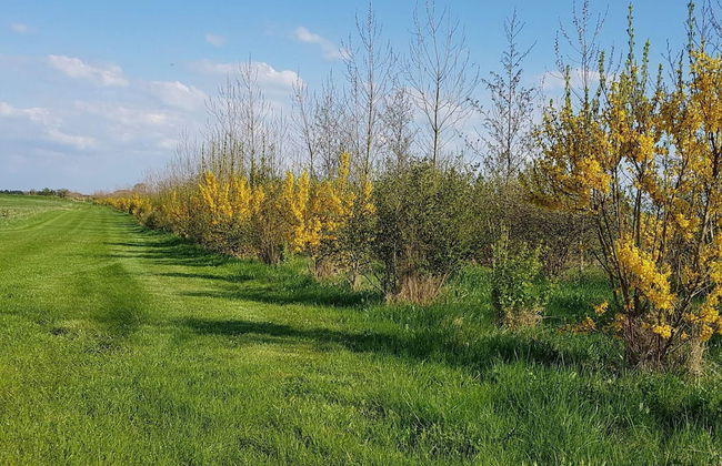 4 Person Holiday Home in Nykobing M-by Traum - Foto 10