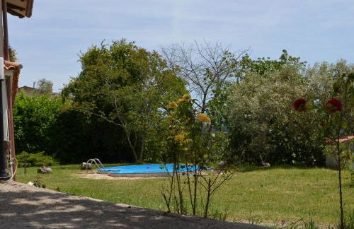 Il colle degli olivi - Foto 22