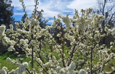 Quinta da Portela - Foto 48