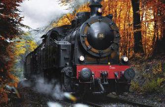 Ferienwohnung Sonnenblick in Losheim am See - Foto 46