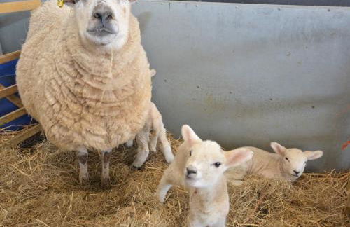 3 Bed in Blandford Forum oc-49993 - Photo 41