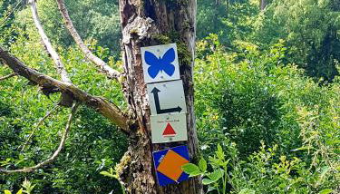 Ferienwohnung Jansen "Eins" - Foto 5