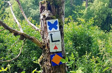 Ferienwohnung Jansen "Eins" - Foto 5