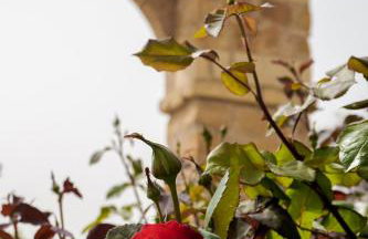 Casa Jienense - Foto 42