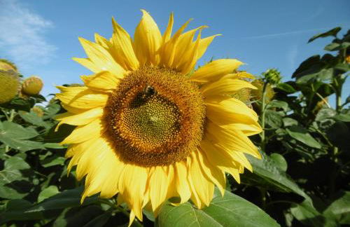 Oderbruchhütte - Photo 25