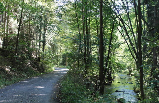 Attractively Renovated Holiday Home Located in the Beautiful Nature of the Czech Republic - Foto 21