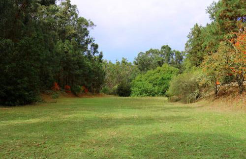 Dúplex de invitados en medio del bosque - Foto 20