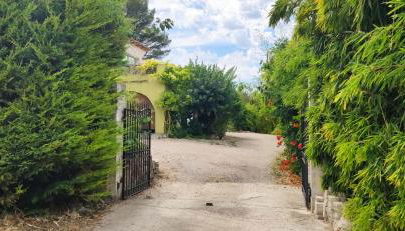 Bambou entre Mer et Montagnes - Foto 3