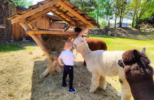 Agroturystyka Zagroda Alpaka - Foto 17