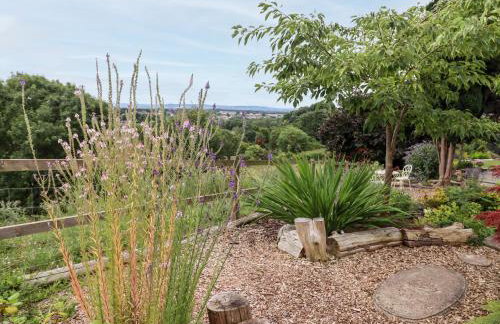 The Carriage - Photo 27