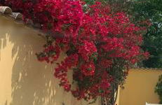 OSTIA ANTICA - LA CASA DI LAURA - JACUZZI & GARDEn - Photo 40