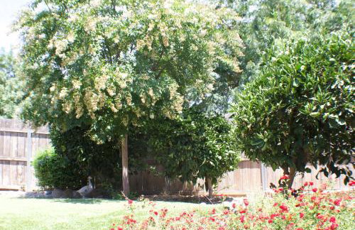 Gateway Retreat: Short Drive to the Sequoias - Foto 2