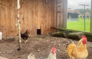 La Ferme des 1000 étangs - Foto 13