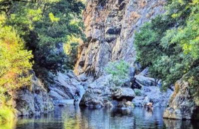 Areal Guest House - Foto 39