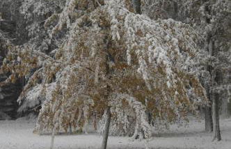 Ferienhaus Huus ton witten Barg - Foto 29