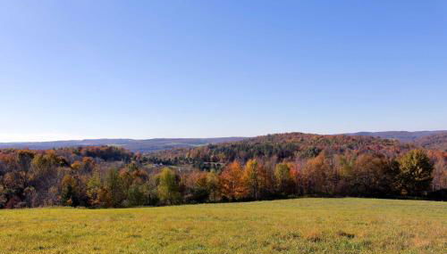 Mountain Top Country Hideaway 48 Acres, Fire Pit! - Foto 2