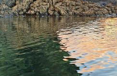 Ajuy Tortuga House - Photo 38