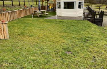 Pant yr onen holidays - Photo 22