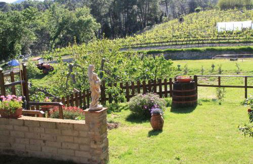 La Casa dei Nonni - Foto 8