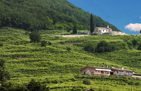 AGRITURISMO B&B CASA BORTOLIN - Foto 1