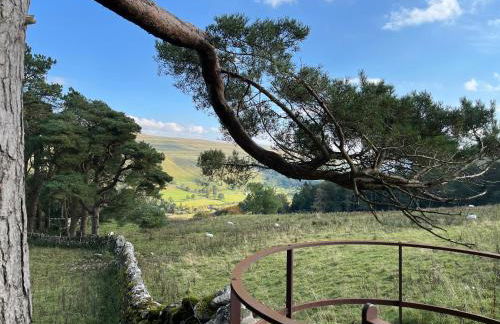 The Wharfe - Cosy, comfortable retreat - Foto 15